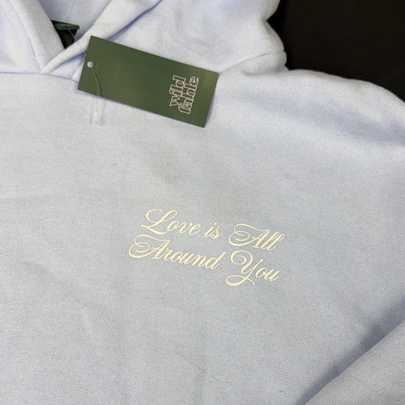 Wild Fable Light Blue Hoodie Sweater size xxl bauble blue Love Is All Around You - Picture 6 of 9